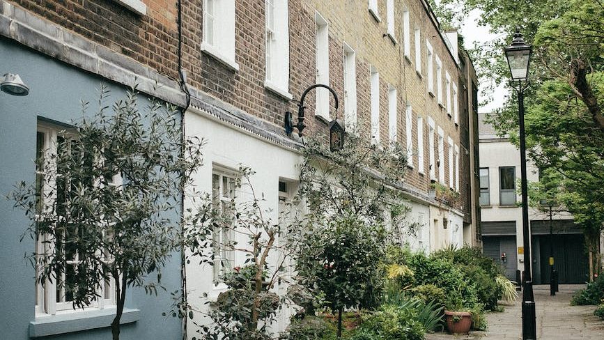 green potted plants near building